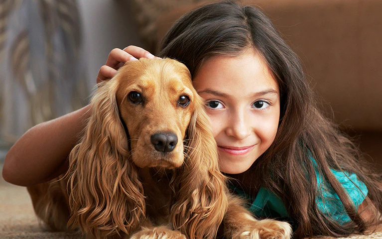 Sindirim Sisteminin İyileştirilmesi