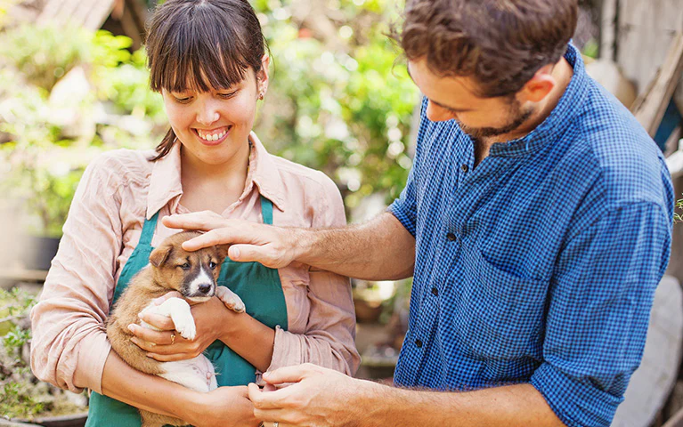 Daha Sağlıklı Kemikler